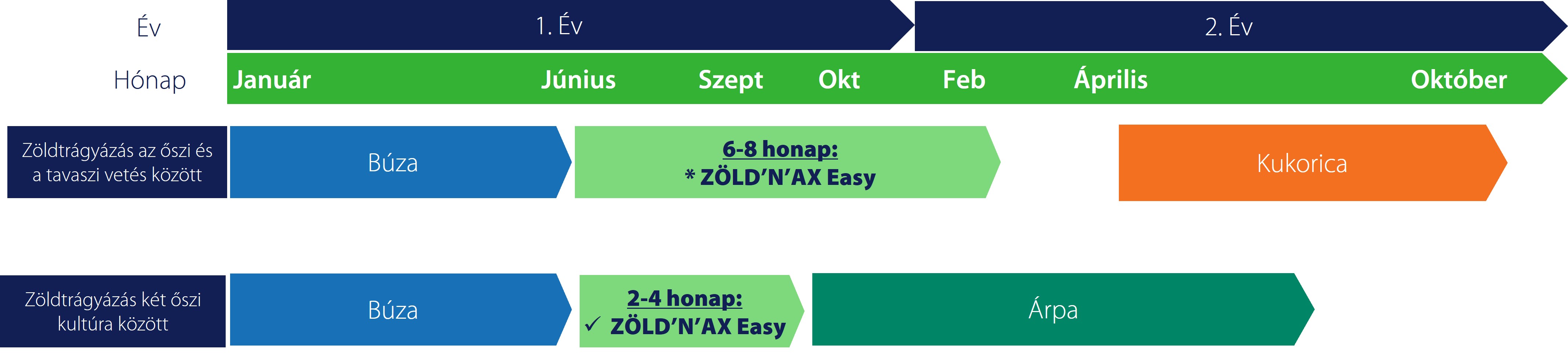 Zold