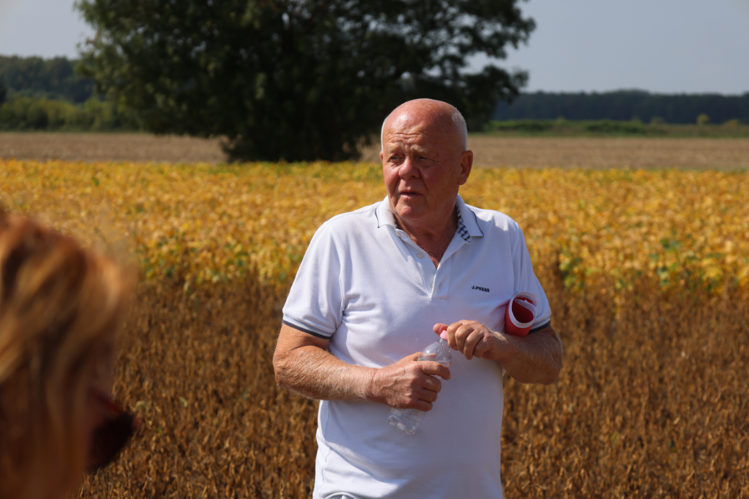Szoja