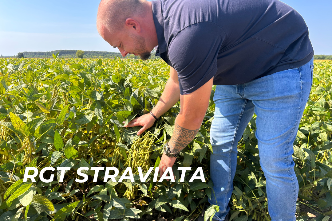 Szoja