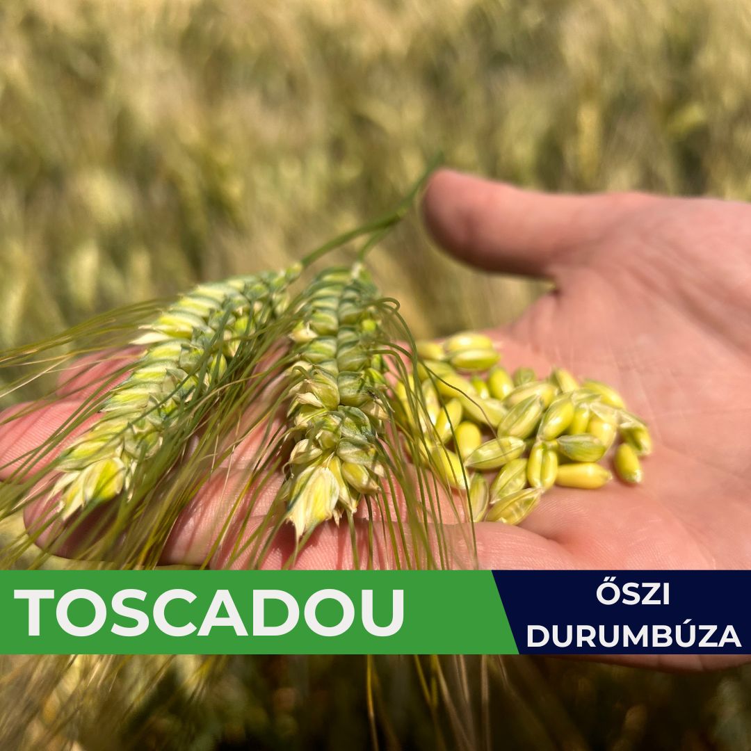 TOSCADOU
