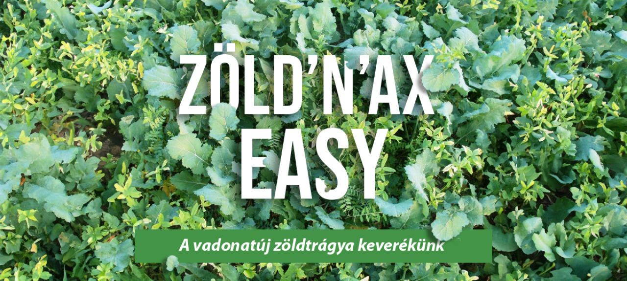 zöldnaxeasy