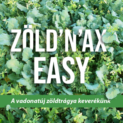 zöldnaxeasy