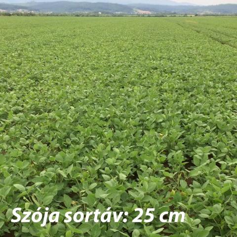 Szoja 25cm