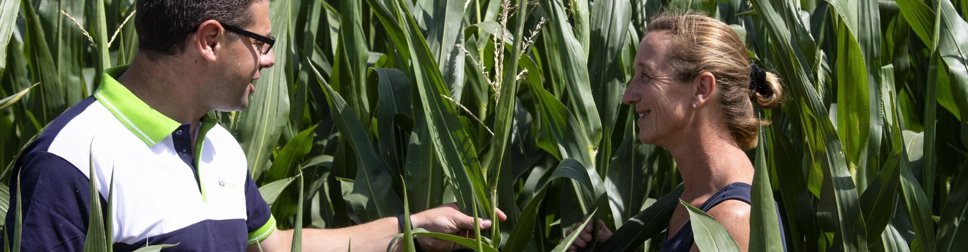 slider_Axereal_group