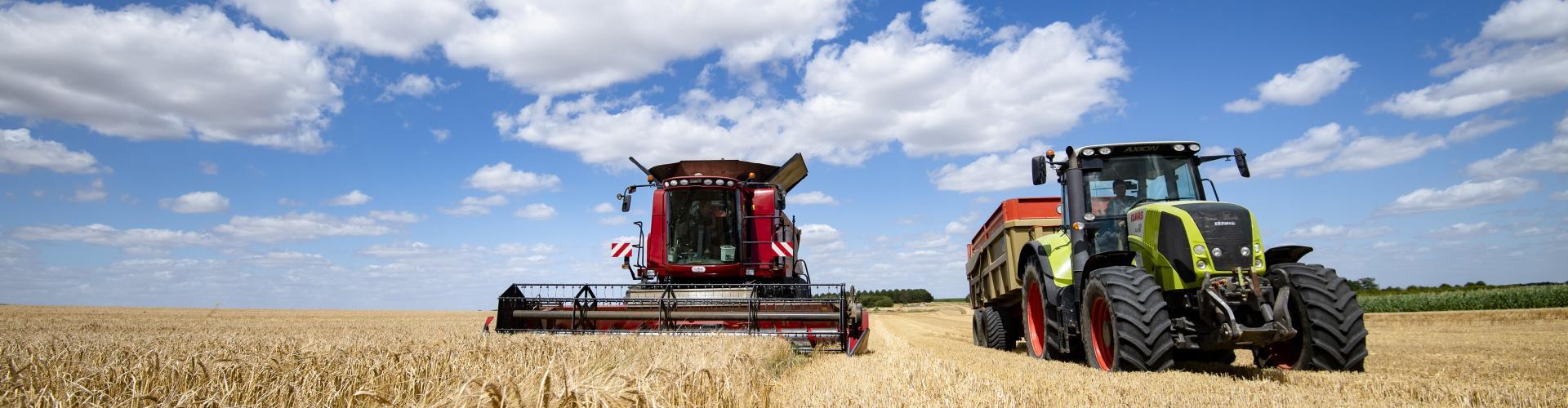 Harvest grain collection